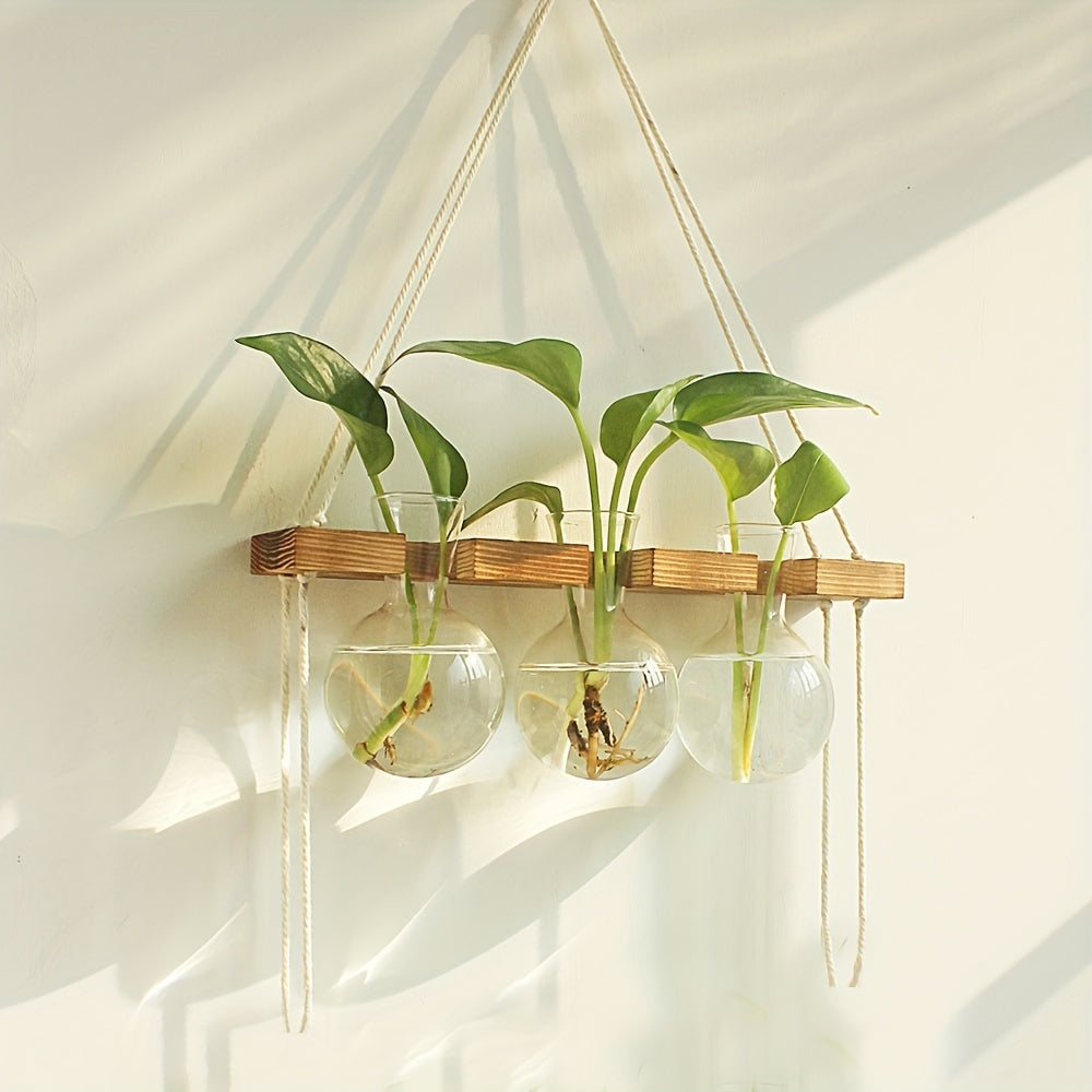 Wall Hanging Plant Propagation Station